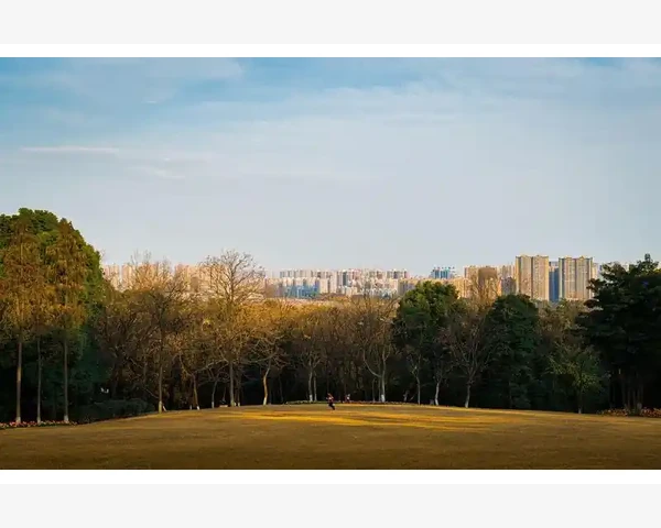 MT4成交量柱状图颜色修改轻松搞定