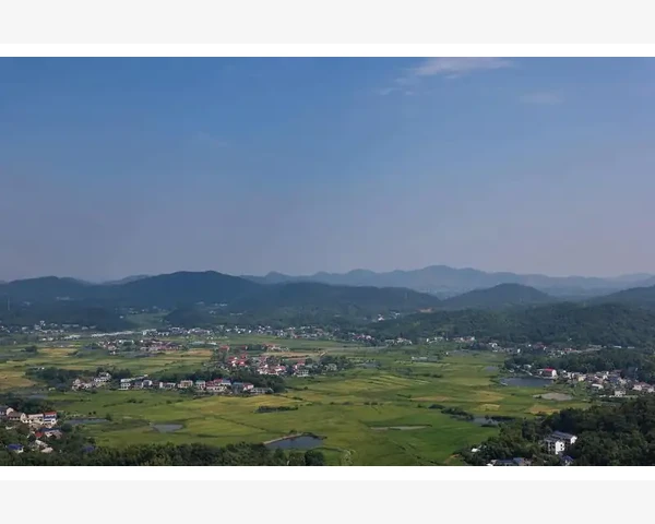 MT4交易报表按月生成独立报告分步教程