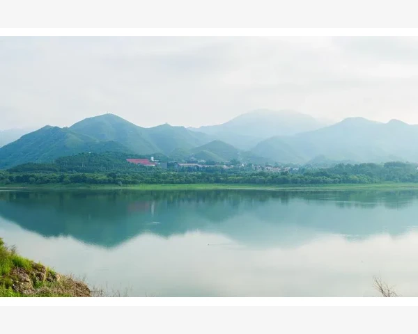 MT4电脑版安装后频繁报错运行卡顿怎么办_安装路径和权限设置是首号嫌疑犯