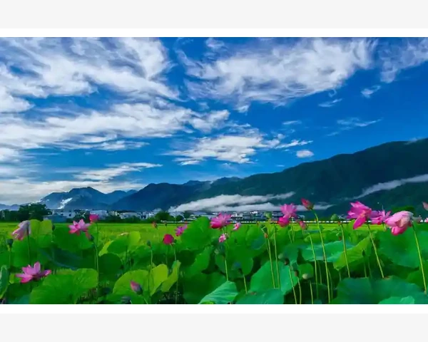 MT4持仓时长查看方法详解